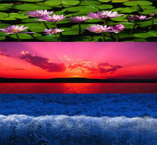 شرکت کروز به جای اسناد واردات، کارت پستال در سامانه گمرک بارگذاری می‌کرد